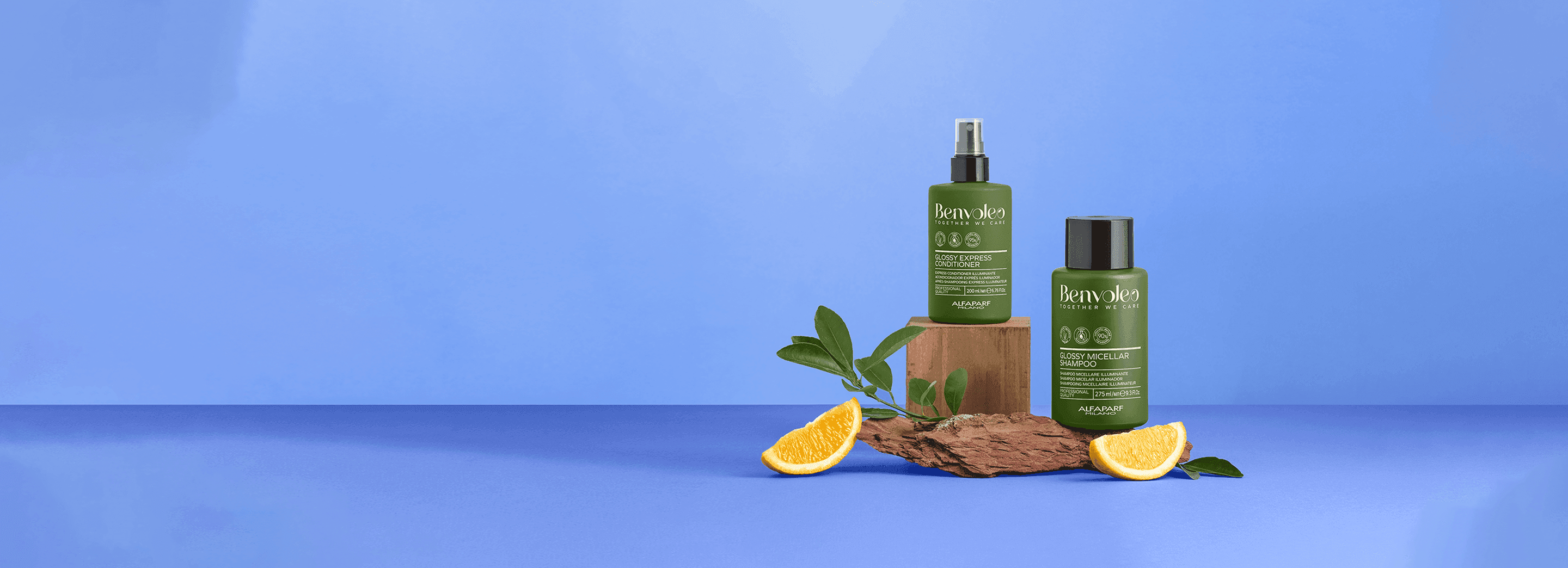 Benvoleo glossy