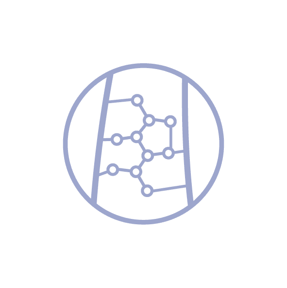 biomimetic-peptide.png