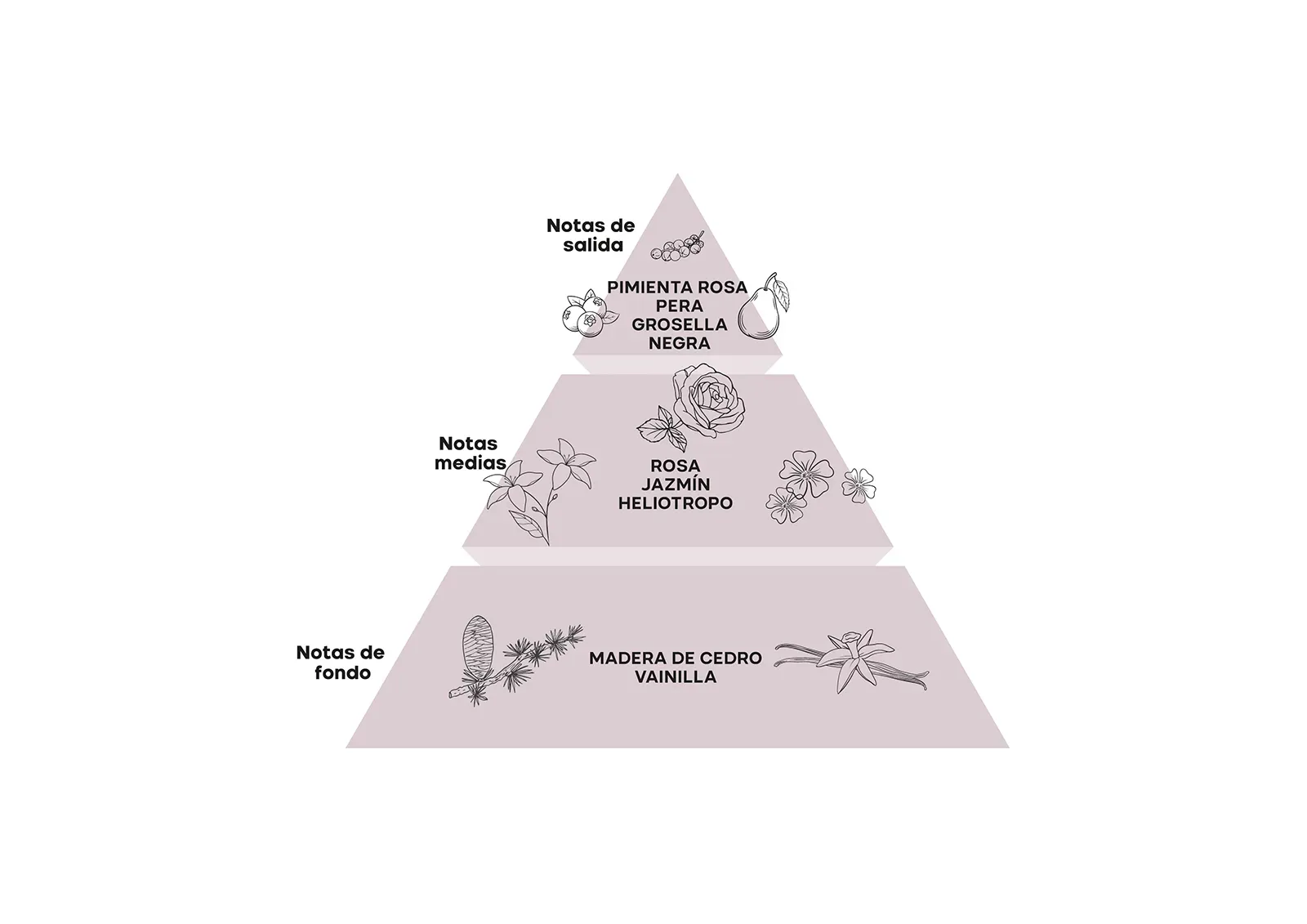 Piramide_Esp
