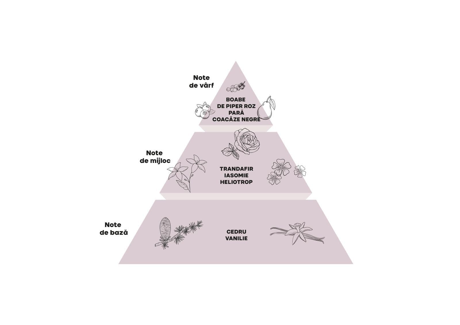 piramide-ro.jpeg